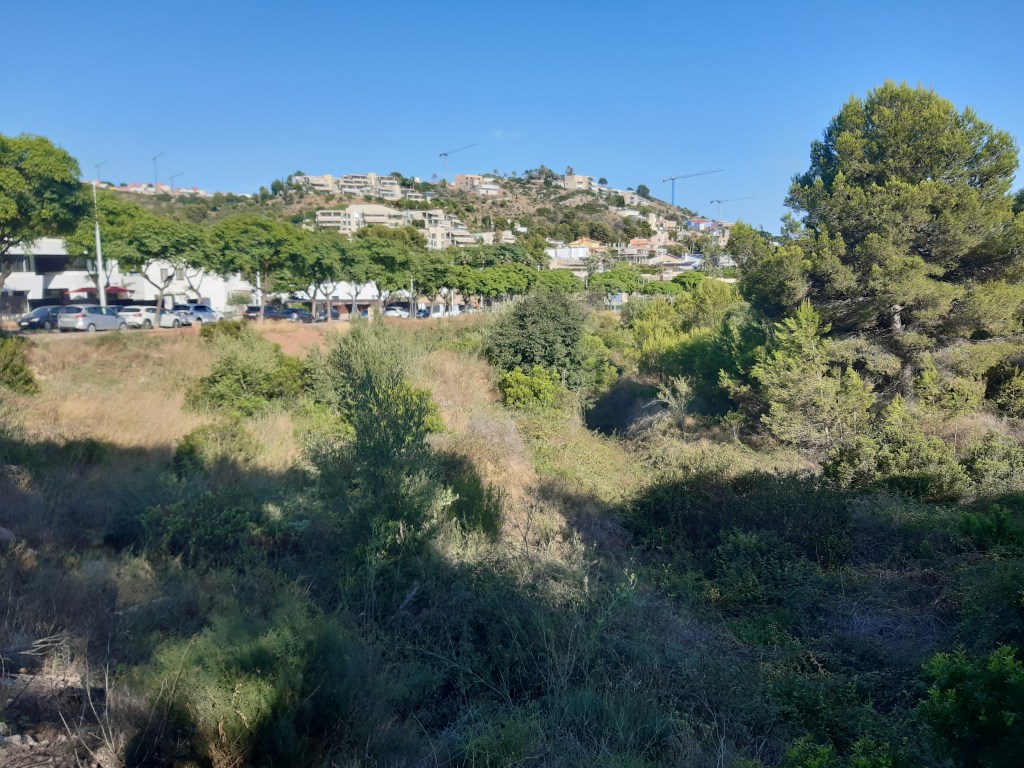 Entrada sin título 565